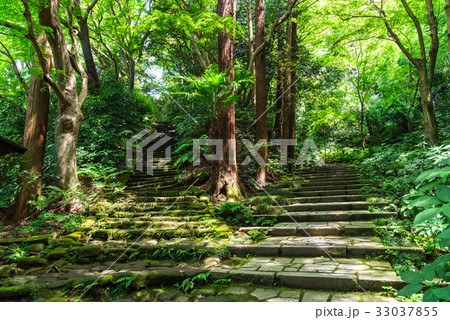 鎌倉　瑞泉寺　参道石段 33037855