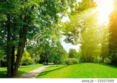 Bright sunny day in park. Bright sunny day in park. 33037999