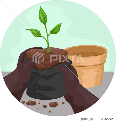 Hands Seedling Transfer Pot 33038542