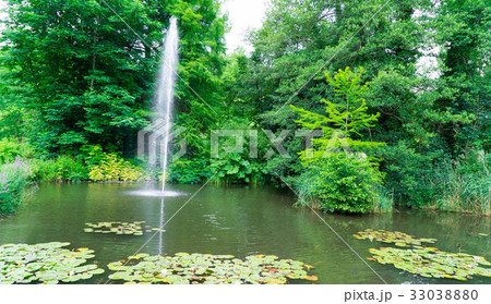Fountain in motion. Plants and pond. Fountain in motion. Plants and pond. 33038880