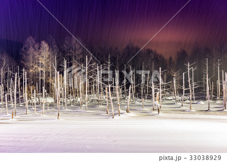 Aoike Pond, Bie Japan 33038929