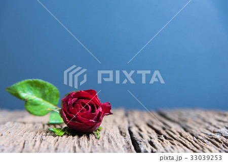 Red roses on wood Red roses on wood 33039253