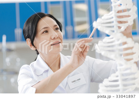 Pleasant nice woman studying the DNA model 33041897