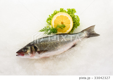 Fresh perch fish on ice. Ready for cooking. 33042327