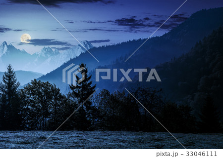 Forest on the hillside in High Tatras at night Forest on the hillside in High Tatras at night 33046111