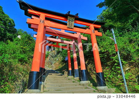 伏見稲荷 四ツ辻の鳥居の写真素材