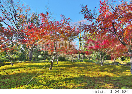 錦秋の城南宮 錦秋の城南宮 33049626