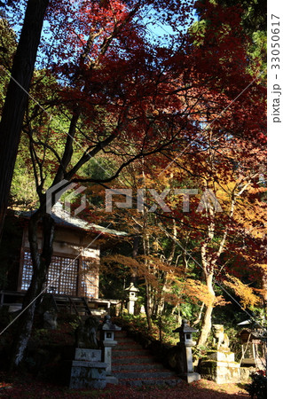 護法堂弁財天の紅葉の写真素材