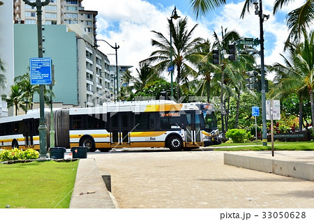 ハワイの休日 ハワイの休日 33050628