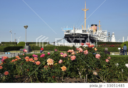 山下公園バラ園のバラと氷川丸 33051485