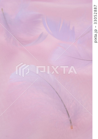 羽根（ピンク） 33052887