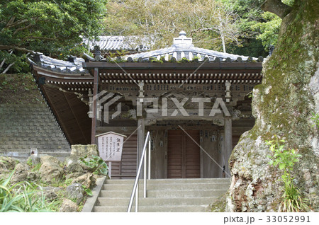 誕生堂と古木 誕生堂と古木 33052991