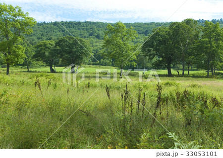 カヤの平高原 33053101
