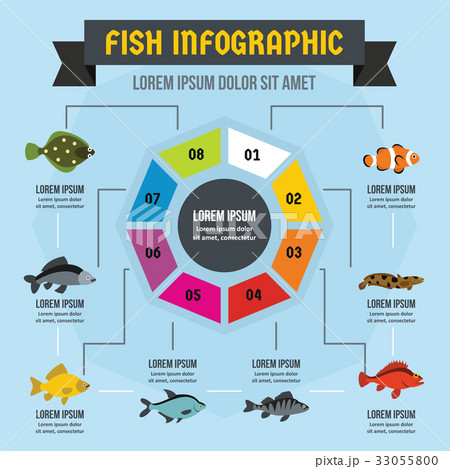 Fish infographic concept, flat style 33055800