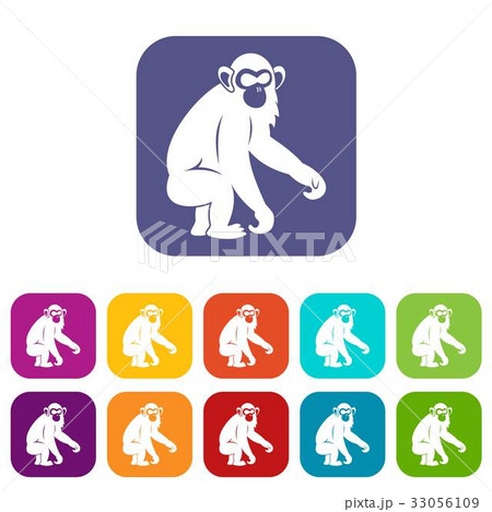 Macaque icons set flat Macaque icons set flat 33056109
