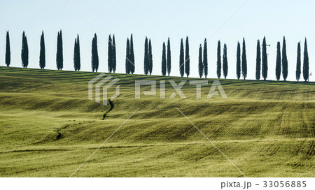 Tuscany landscape 33056885