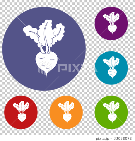 Fresh beetroot icons set Fresh beetroot icons set 33058078