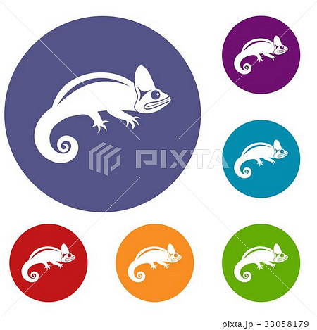 Chameleon icons set 33058179