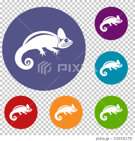 Chameleon icons set 33058179