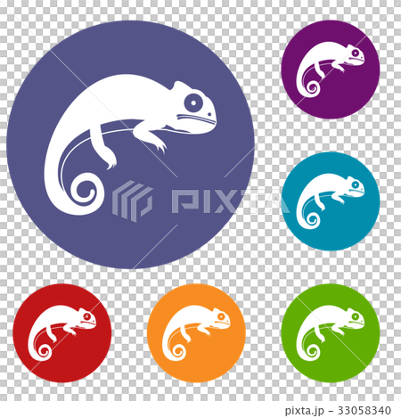 Chameleon icons set Chameleon icons set 33058340