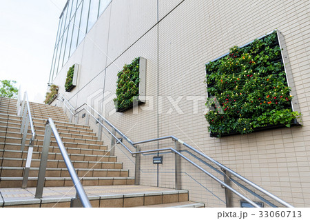 Green plant on the wall 33060713