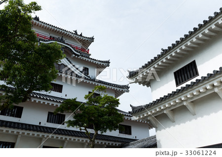 Japanese Castle 33061224