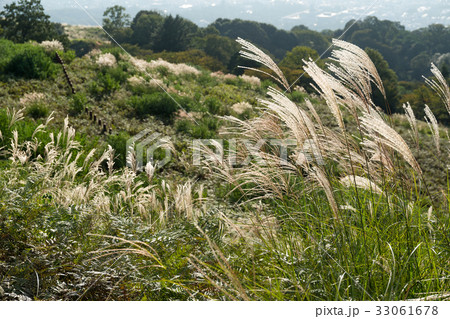 Mountain in autumn season 33061678