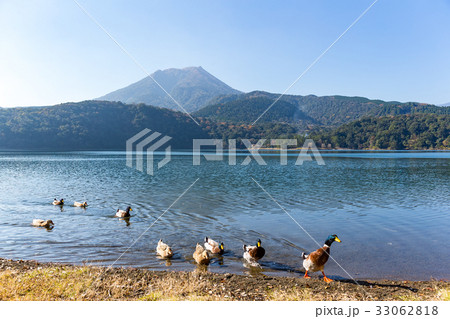 Lake and Mount Kirishima with duck 33062818