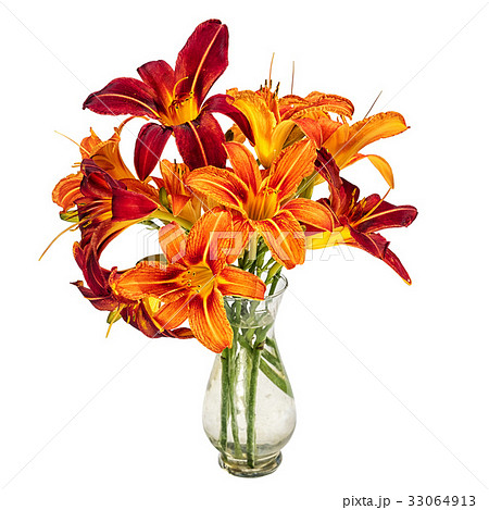 bouquet with hemerocallis flowers 33064913