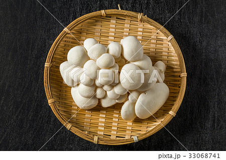 ホワイトマッシュルーム　White mushroom 33068741