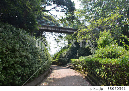 小丸山城　本丸堀切 33070541