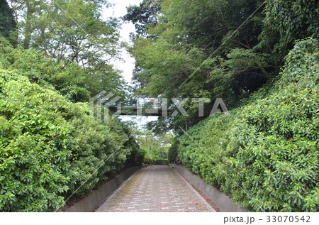 小丸山城　本丸堀切 33070542