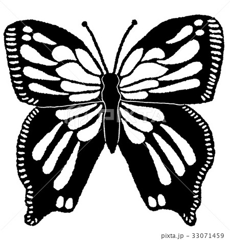 蝶々 33071459