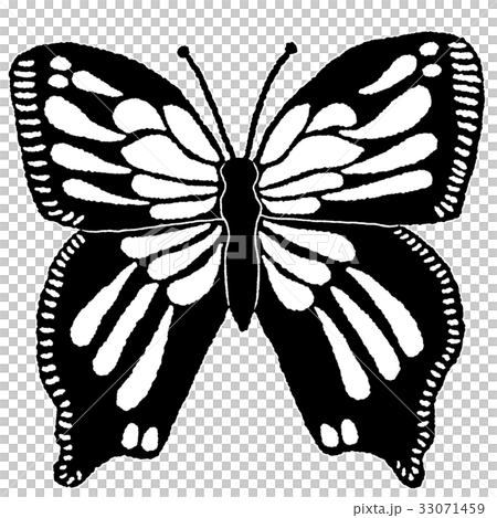 蝶々 33071459