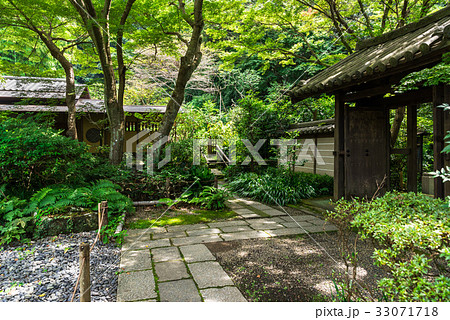 鎌倉 瑞泉寺 境内 鎌倉 瑞泉寺 境内 33071718