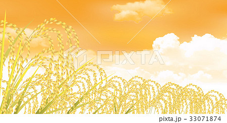 米 稲 風景 背景のイラスト素材