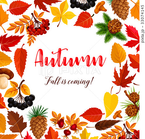 Autumn vector poster of leaf fall or forest berry 33074145