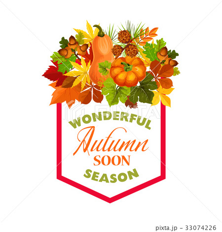 Autumn maple leaf pumpkin harvest vector poster 33074226