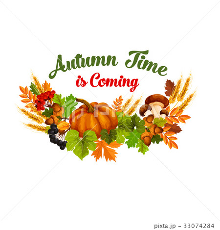 Autumn time vector poster of fall harvest 33074284