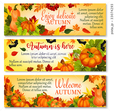 Autumn banner with pumpkin, fallen leaves, berry 33074293