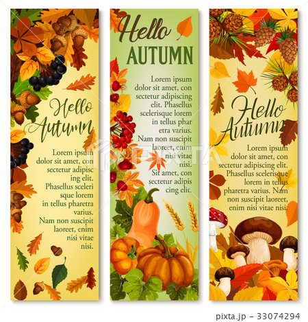 Autumn falling leaf September forest vector banner 33074294