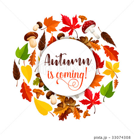 Autumn vector poster of maple leaf fall 33074308