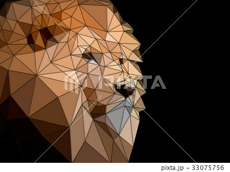 三角ポリゴンで出来たライオンの雄の顔のイラスト素材