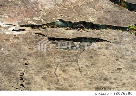 A petroglyph panel with a variety of humanoid and 33076296