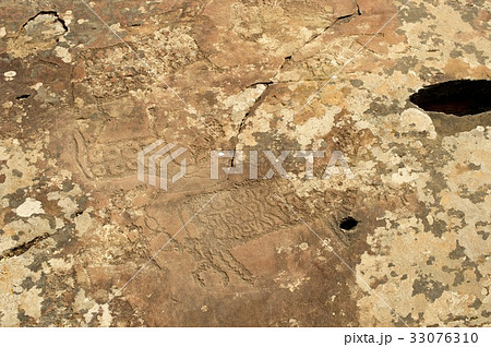 A petroglyph panel with a variety of humanoid and 33076310