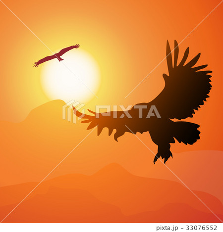 Illustration of soaring eagle and sunset. Illustration of soaring eagle and sunset. 33076552
