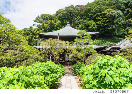 鎌倉 瑞泉寺 本堂 鎌倉 瑞泉寺 本堂 33076667
