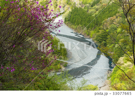 静岡　寸又峡の景色 33077665