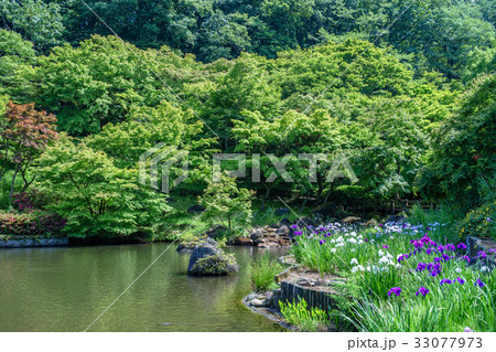 虹の郷日本庭園 33077973