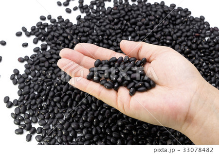 沖縄 宮古島の黒小豆(ササゲ) 沖縄 宮古島の黒小豆(ササゲ) 33078482